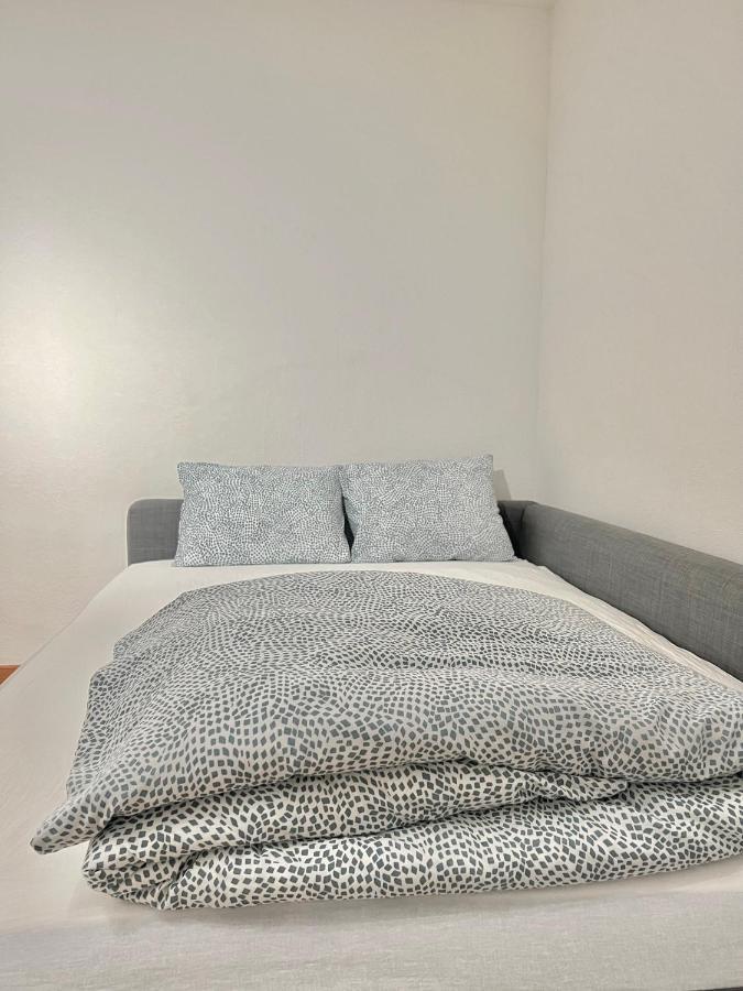 Appartamento Per 4 Persone Rudolfstetten المظهر الخارجي الصورة